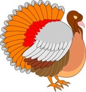 Clipart,picture of turkey bird for thanksgiving