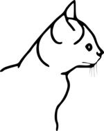 Cat Kitten Animal drawing