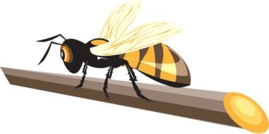 drawing a bee on a wooden stick