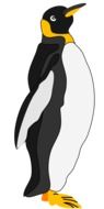 Penguin Bird as an illustration