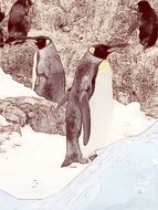 king penguins in the picture