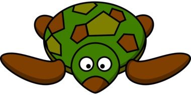 cartoon funny turtle drawing