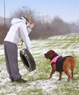 man playing with a dog in the snow