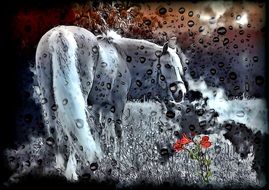 Horse Comic Drawing