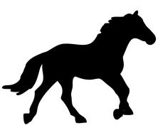 black horse image