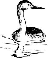 black and white drawing of a bird on the water