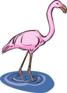 delicious Flamingo drawing