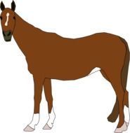 brown Horse drawing