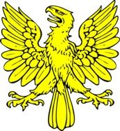 yellow eagle as an illustration