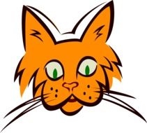image with an orange cat muzzle