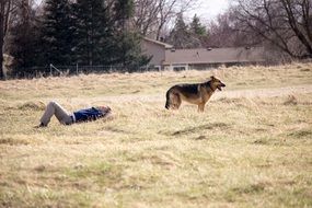 German shepard with his owner