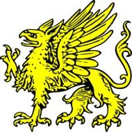 gold Bird Shield for Coat