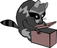 drawing of a raccoon near the box