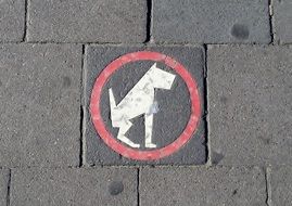 Pavement Sign Dog Roadsign