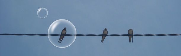birds on wire and soap bubbles