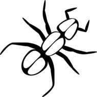 ant as a graphic image