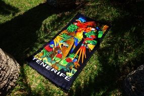 towel on the grass with parrots
