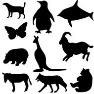 black silhouettes of animals