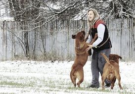 woman playing with dogs