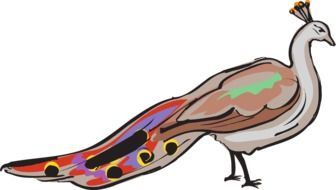 children's drawing of peacock