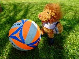 toy lion cub and ball