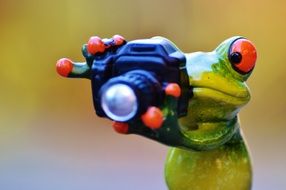 funny ceramic frog with camera