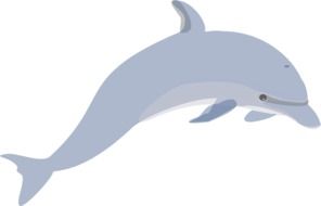 drawing of jumping grey Dolphin