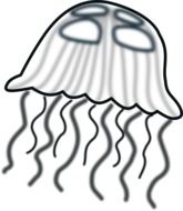 Picture of black and white jellyfish