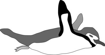 Swimming penguin clipart