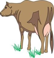 Cow Brown drawing