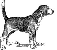 illustration of Happy Dog