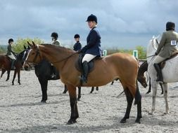 equestrian tournament