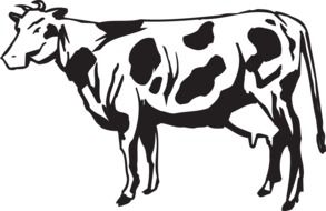 painted spotted dairy cow