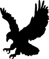 Hawk vector Silhouette