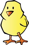 Chicken Baby darwing
