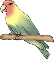 drawing of a perched parrot