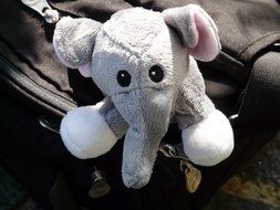 plush baby elephant on the bag