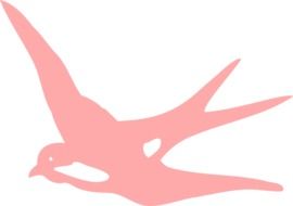 pink swallow on a white background