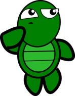 painted green turtle