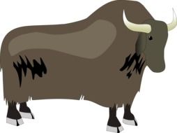 drawing of a bison on a white background