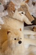 adorable soft dogs