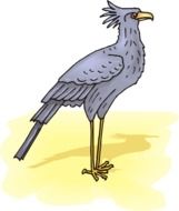 İllustration of secretary bird