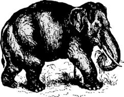 Elephant Black Mammal drawing