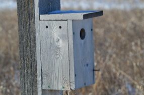 wooden bird house on a pillar