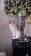 white-red cat sits near a vase of flowers