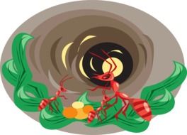 Hole Leaves Insects drawing