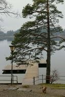 boardwalk near the lake