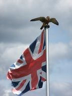 bald eagle on british flag pole