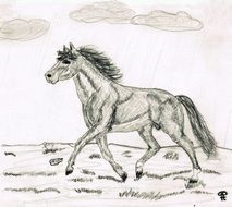 drawing a running horse across a meadow