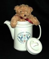 bear toy in Tea Pot